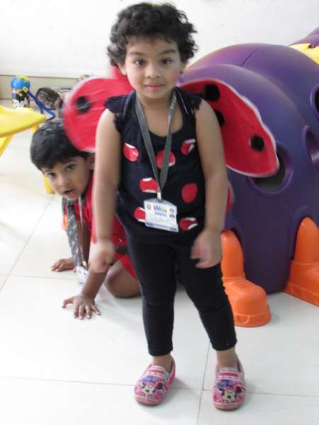  SWS Pre-primary section celebrates Creepy Crawlies Day