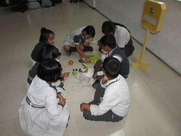 Salad Making Competition