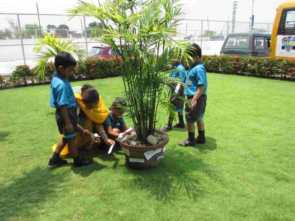 Environment Week