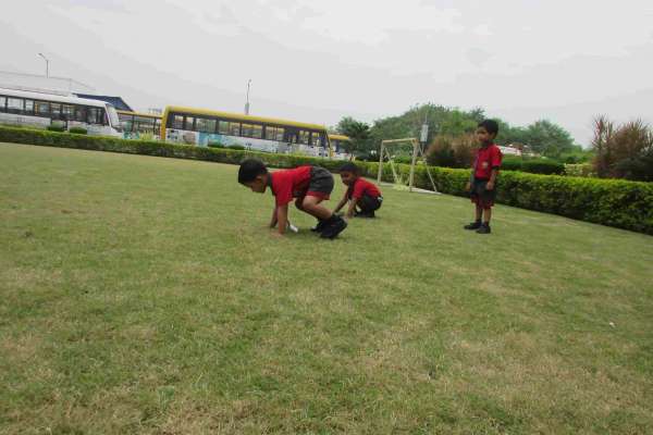 STEM World School Conduct Fun Games