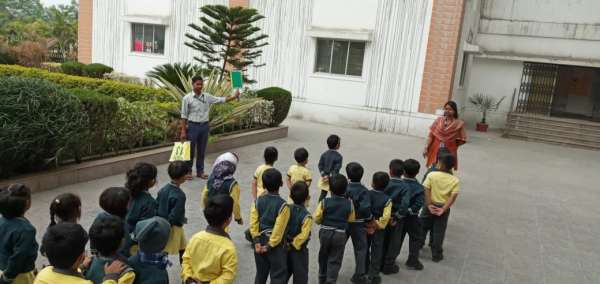 Road Safety Week Activity 