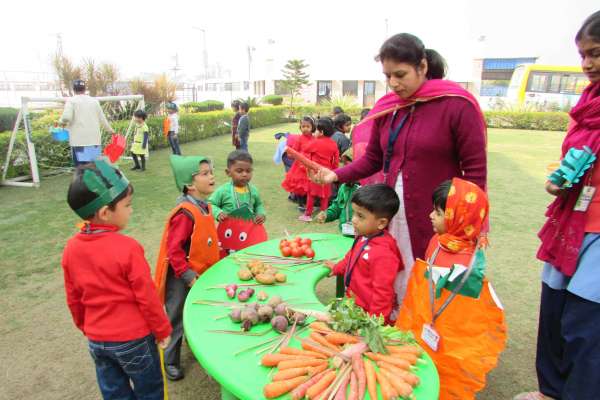 Vegetable Day