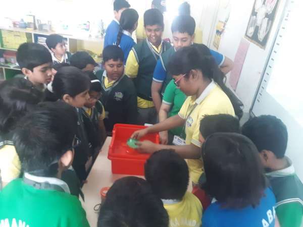 STEM World School Celebrates Science Day