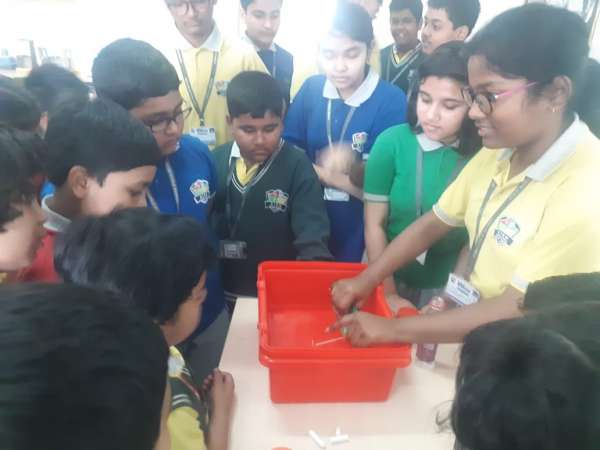 STEM World School Celebrates Science Day