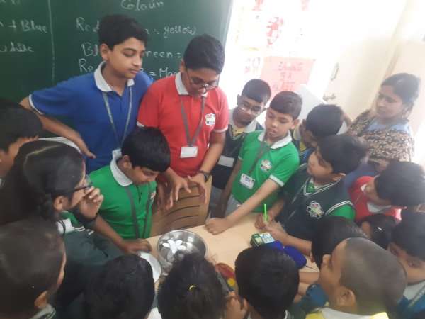 STEM World School Celebrates Science Day