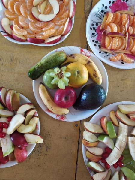 FRUIT FIESTA