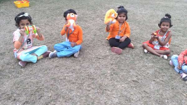 Orange Day Celebration