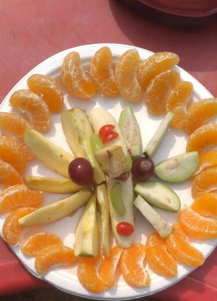 Fruit Fiesta (2025)